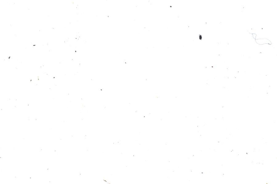 Image 62